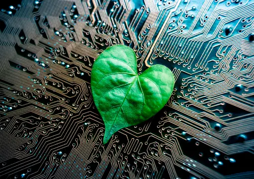 亚博体育app下载案例